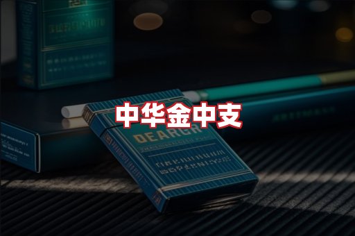 中华金中支